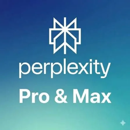 PERPLEXITY PRO