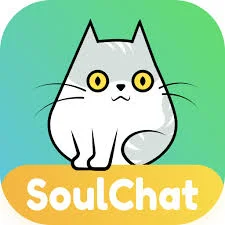 سول شات B