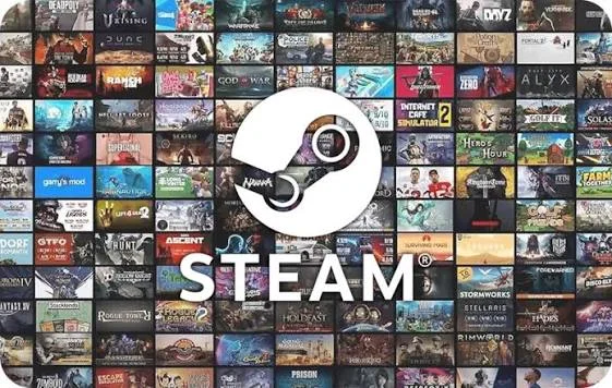 Steam 100$ USA